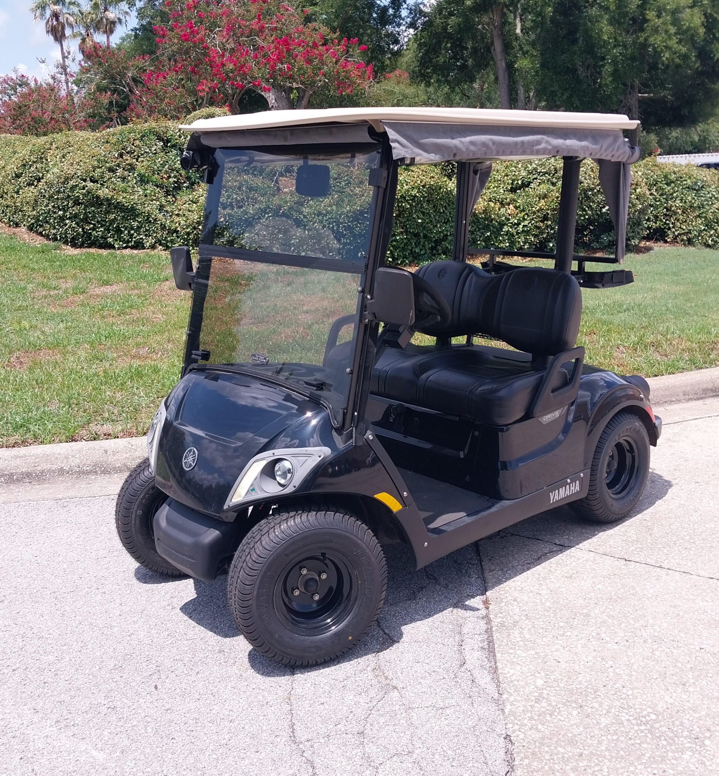 2019 Yamaha Drive2