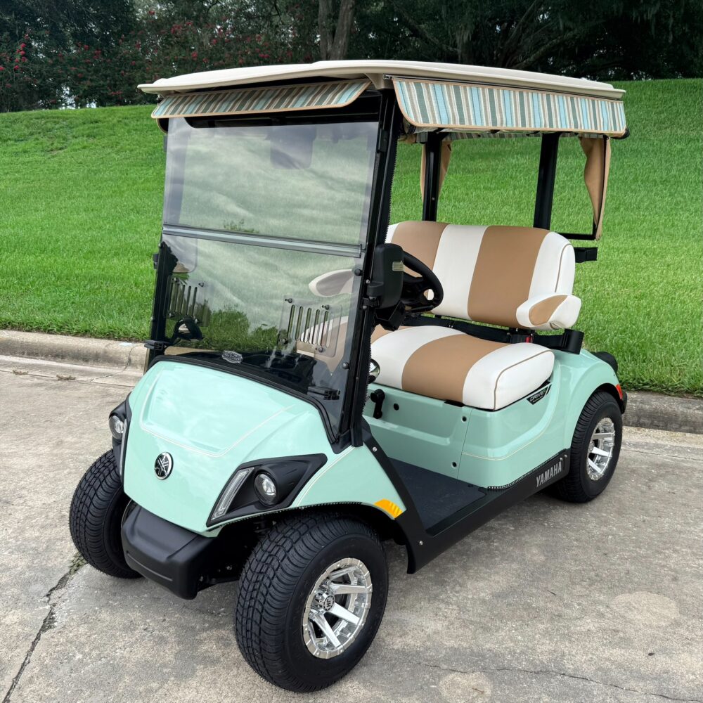 2024 Yamaha Drive2