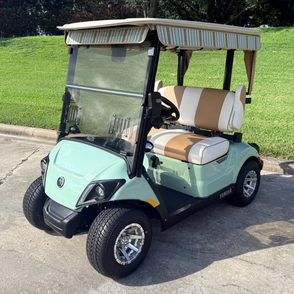 2024 Yamaha Drive2