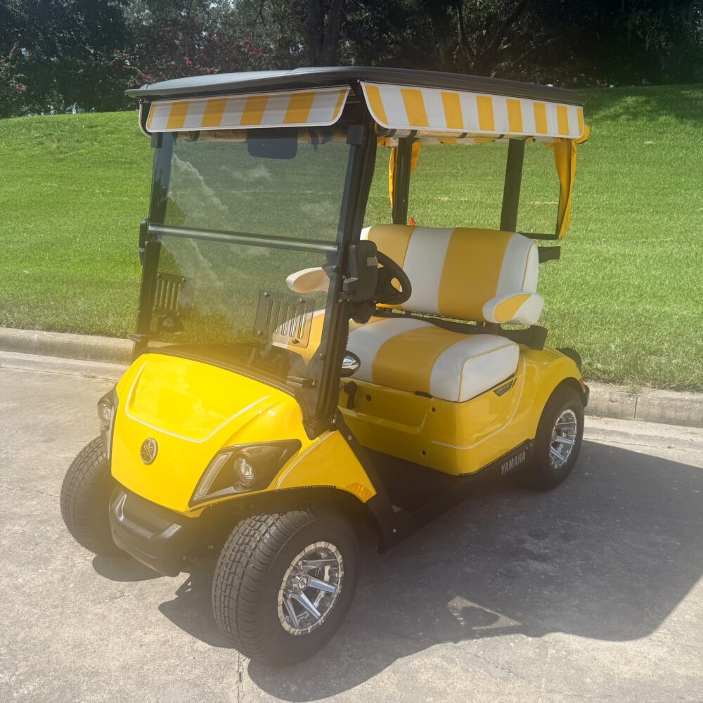 2024 Yamaha Drive2