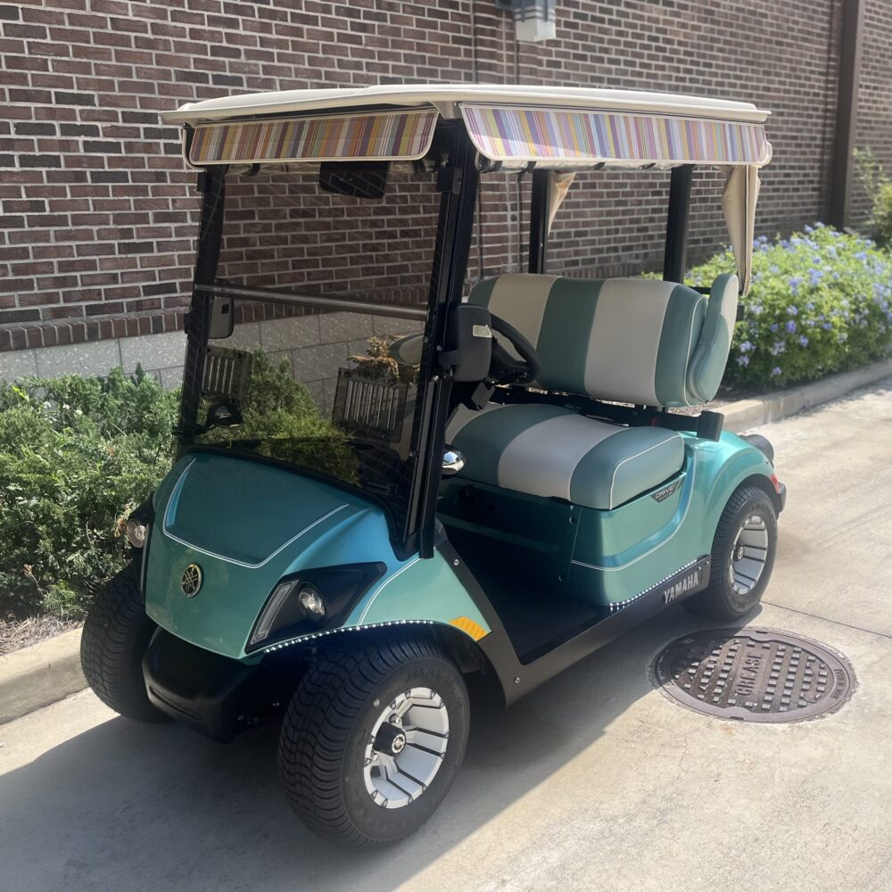 2024 Yamaha Drive2