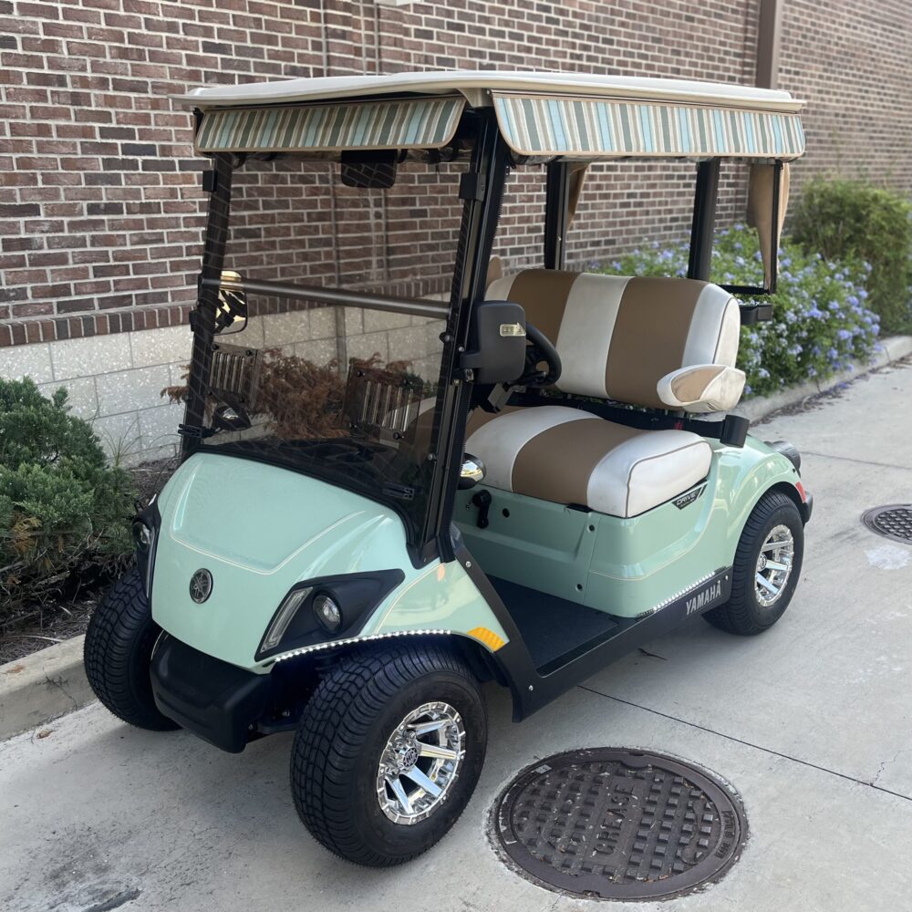 2024 Yamaha Drive2