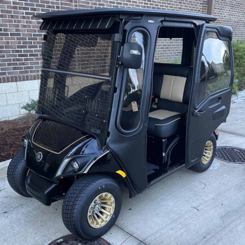 2024 Yamaha Drive2