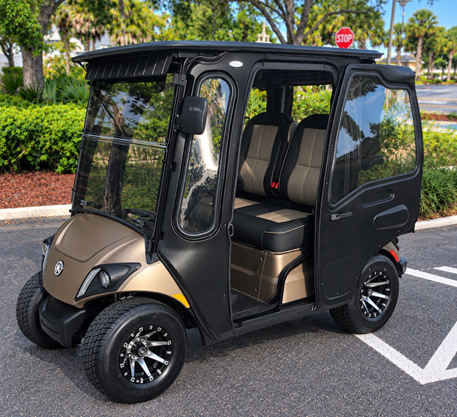 2020 Yamaha Drive2
