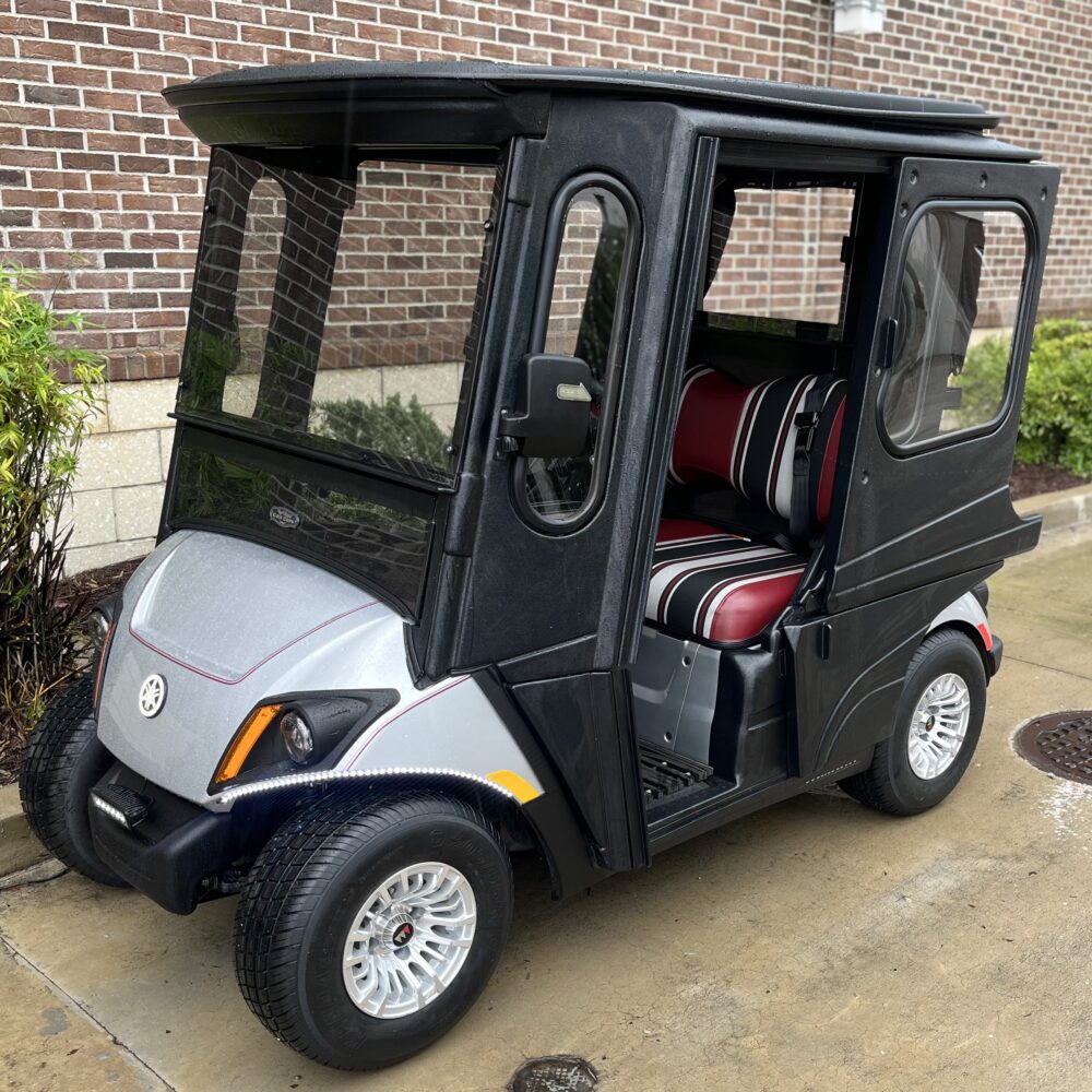2019 Yamaha Drive2